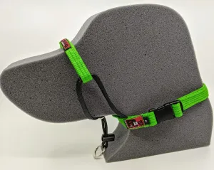 BLACK DOG TRAINING HALTER-MED-GREEN