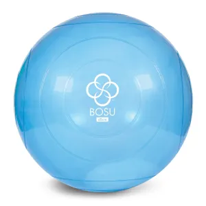 The BOSU Ballast Ball